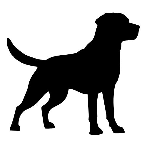 Arrêté concernant la divagation des chiens