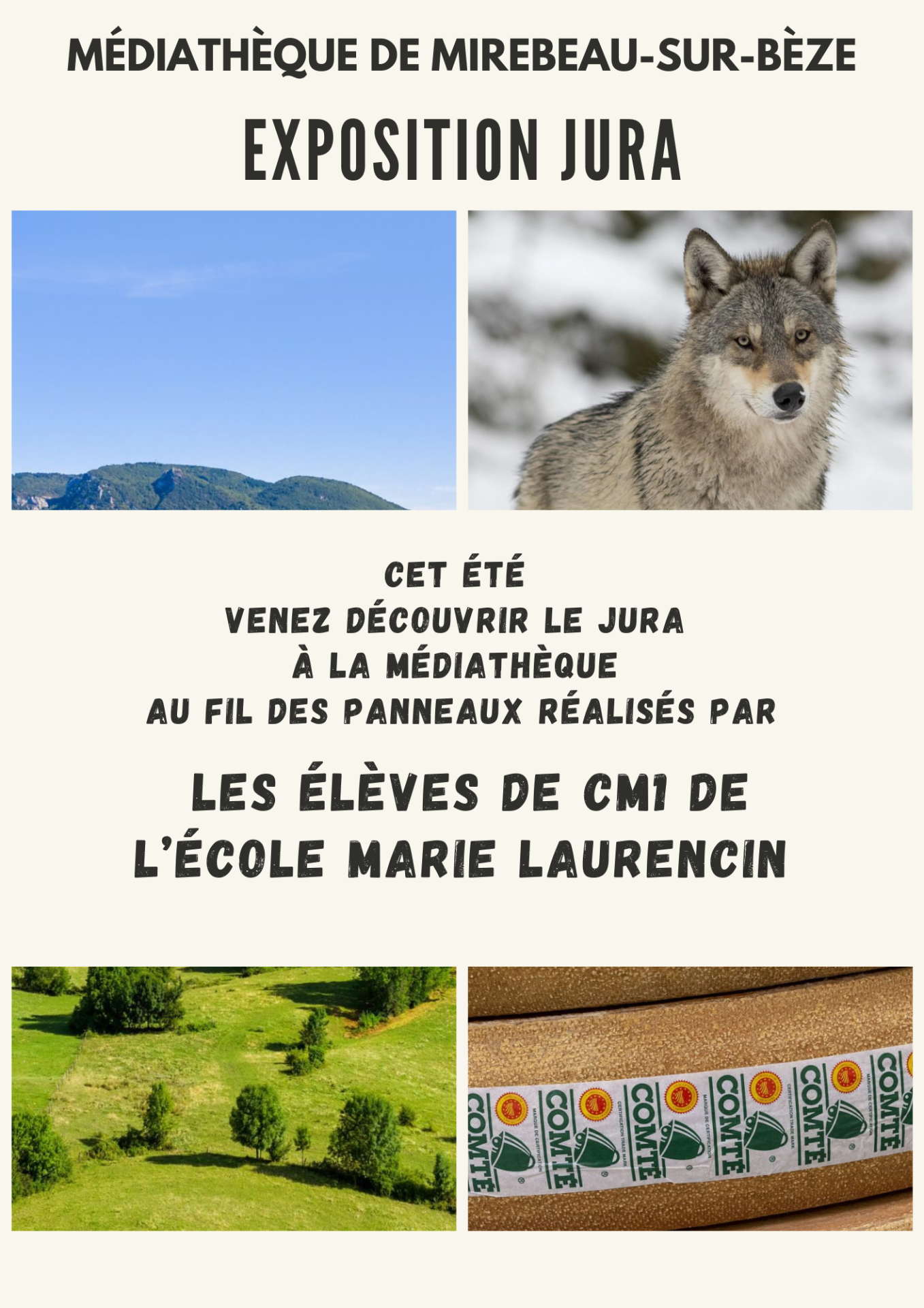 Exposition Médiathèque CM1