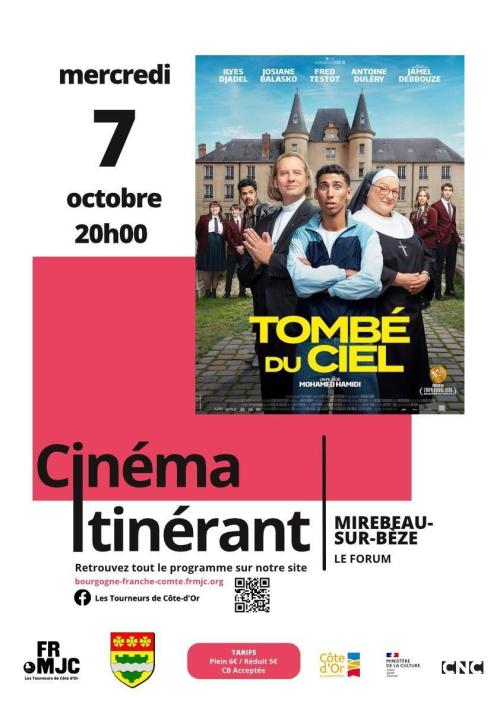 Affiche ciné Tombé du Ciel
